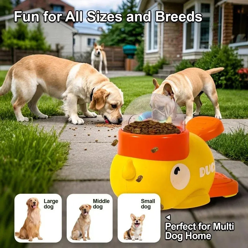 Interactive Duck Puzzle Feeder