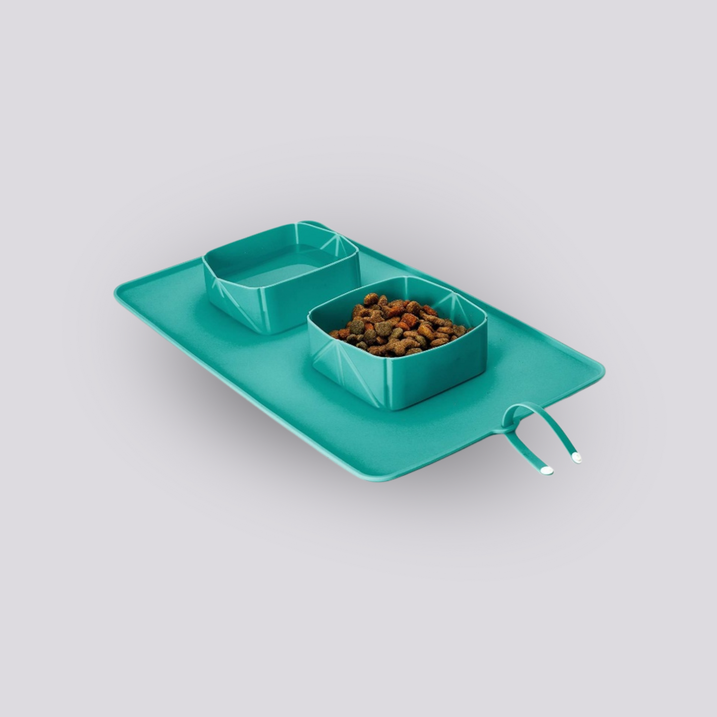 Portable Silicone Bowls