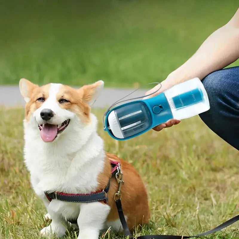 Three-In-One Water Bottle
