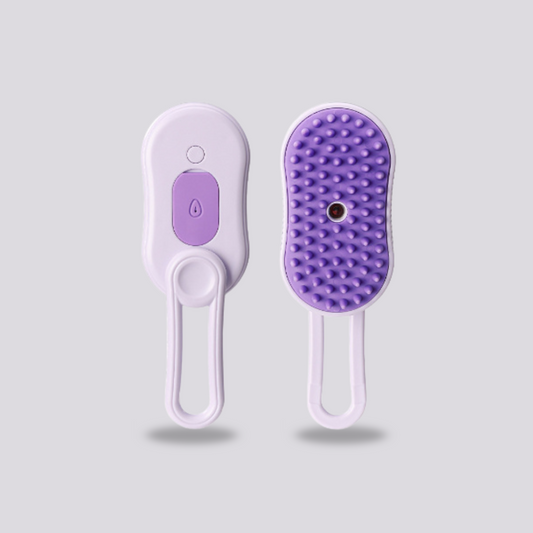 Steam Brush 3 In 1 Electric Spray